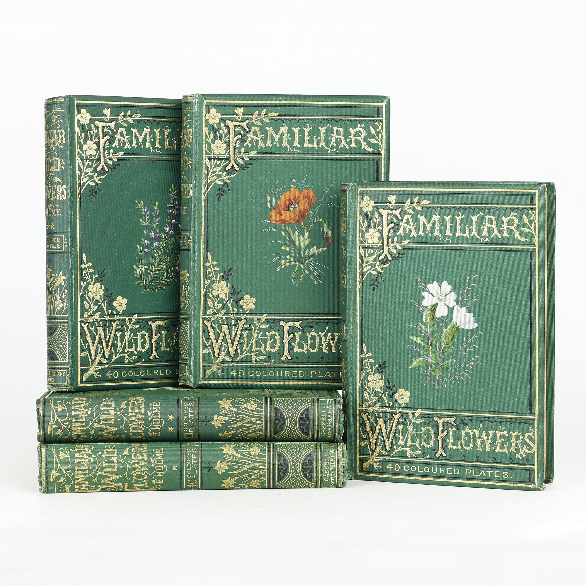 Familiar Wild Flowers by HULME, F. Edward - Jonkers Rare Books